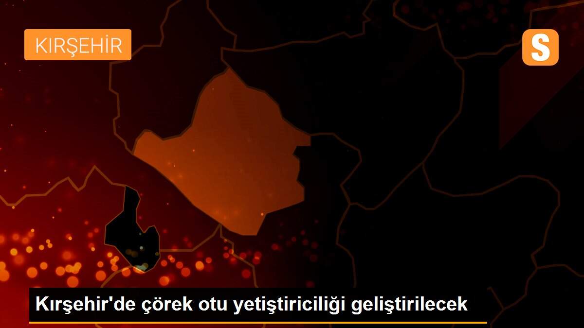 Kırşehir\'de çörek otu yetiştiriciliği geliştirilecek
