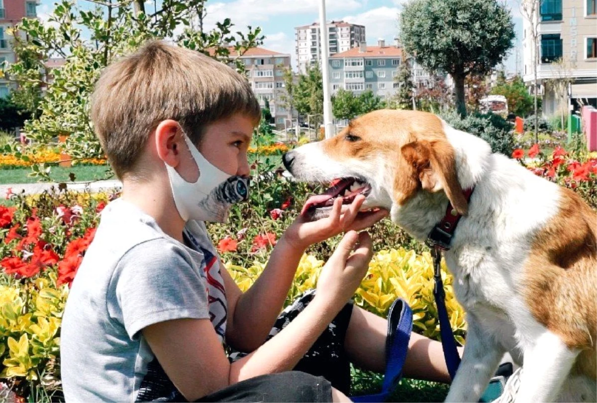 Çorlu Belediyesi Dünya Köpek Gününde farkındalık oluşturdu
