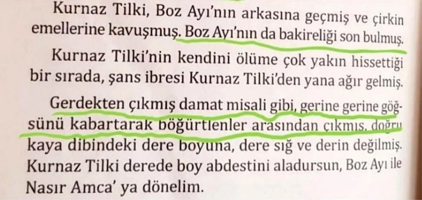 Eğitim-Bir-Sen\'den tepki çeken "Gül ve Düşün" kitabının yazarı hakkında suç duyurusu