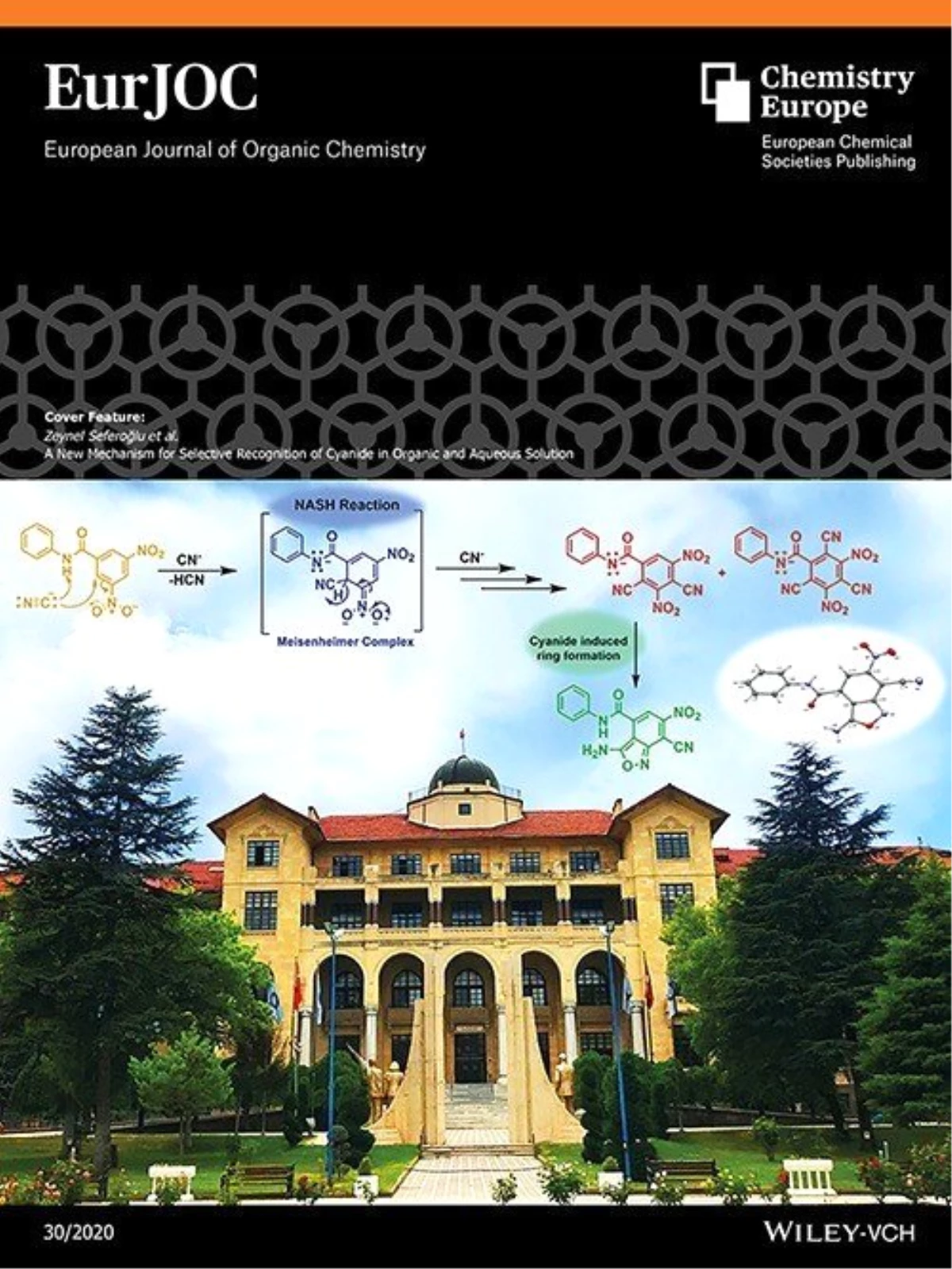 Gazi Üniversitesi Avrupa\'nın en iyi kimya dergisine kapak oldu