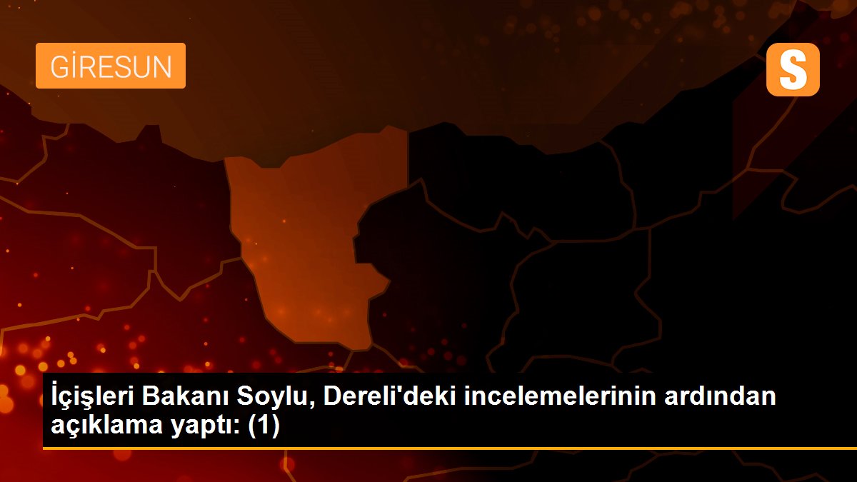 Son dakika haberleri! İçişleri Bakanı Soylu, Dereli\'deki incelemelerinin ardından açıklama yaptı: (1)