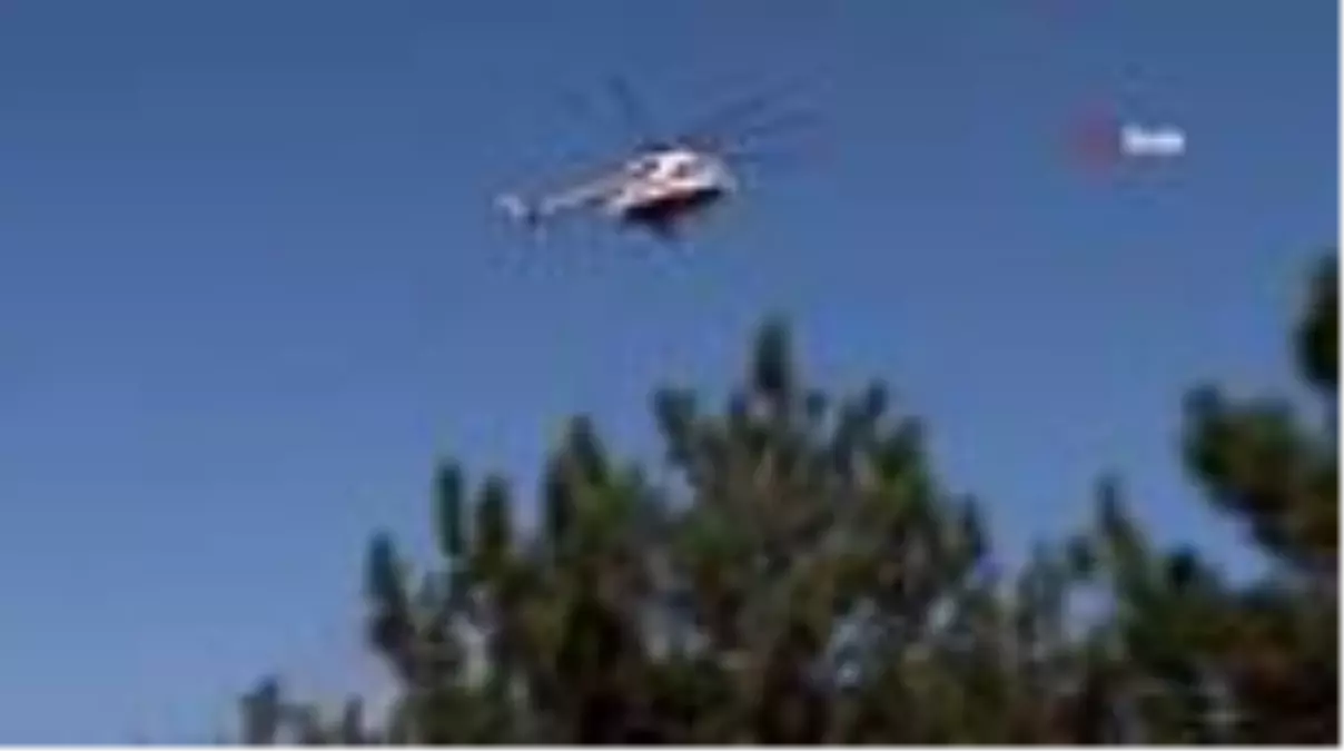 Son dakika haberi! Kayışdağı\'nda ormanlık alanda yangın çıktı