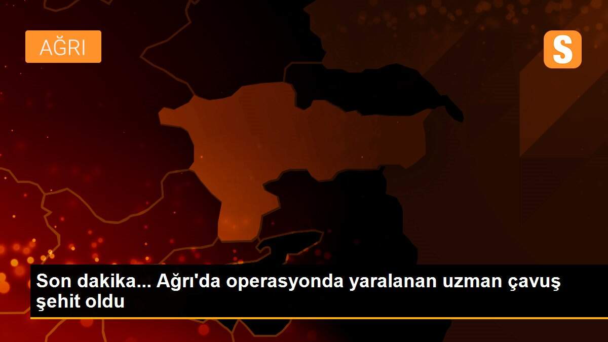 Son dakika... Ağrı\'da operasyonda yaralanan uzman çavuş şehit oldu