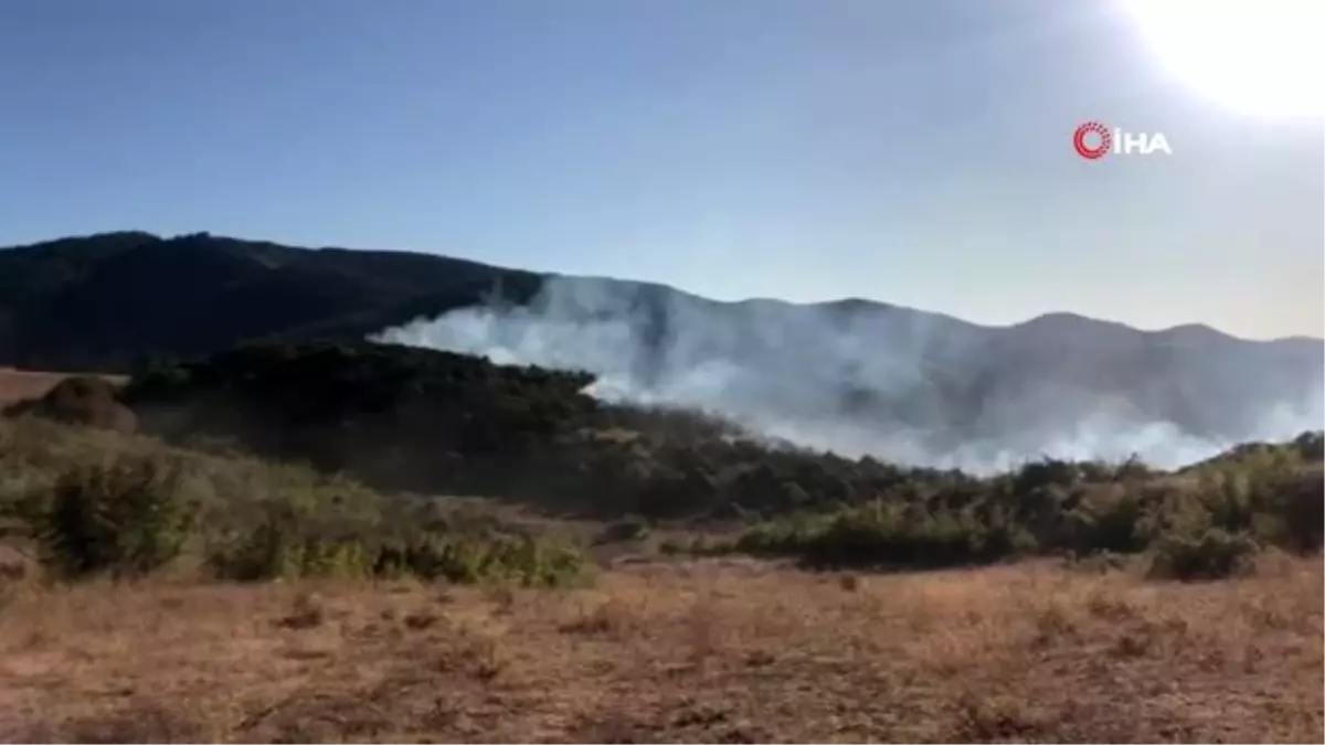 Anız yangını ormana sıçramadan helikopter desteğiyle söndürüldü