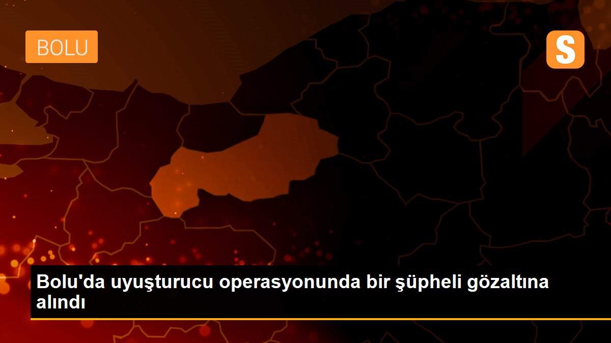 Son dakika! Bolu\'da uyuşturucu operasyonunda bir şüpheli gözaltına alındı