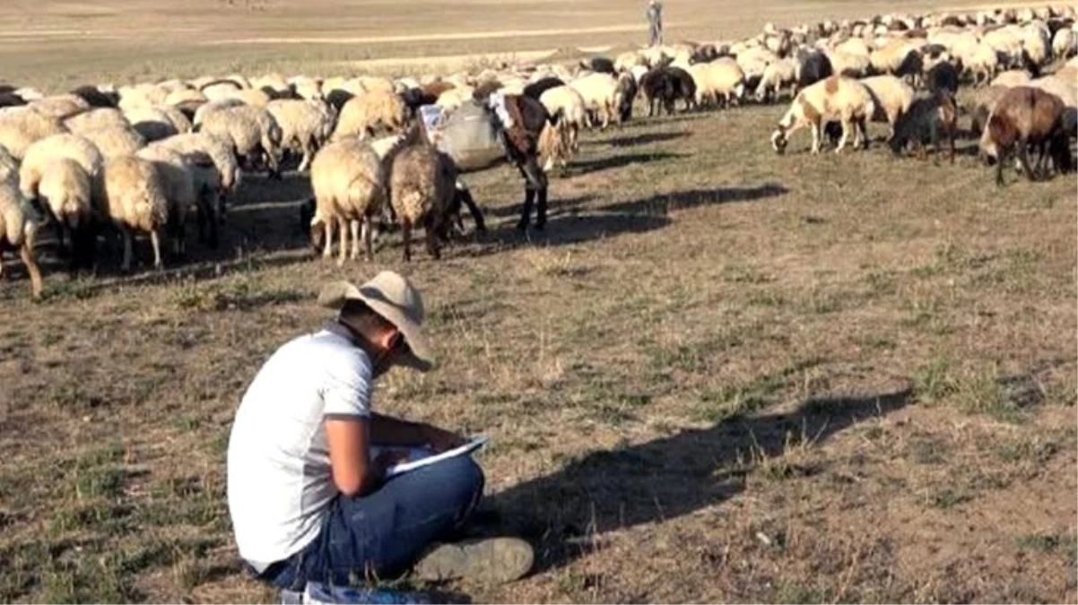 Çobanlık yaparken üniversiteye hazırlanan Vanlı Muhammet, tıp fakültesini kazandı