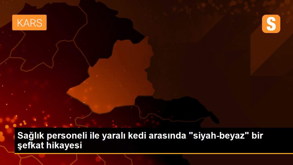 Sağlık personeli ile yaralı kedi arasında "siyah-beyaz" bir şefkat hikayesi