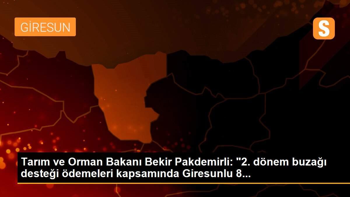 Tarım ve Orman Bakanı Bekir Pakdemirli: "2. dönem buzağı desteği ödemeleri kapsamında Giresunlu 8...