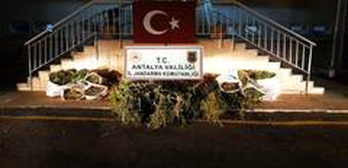 Jandarmadan Hint keneviri hasatı yapmaya hazırlanan 2 kişiye suçüstü