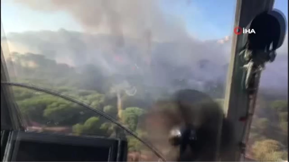 Maltepe\'de orman yangını ile ilgili bir kişi gözaltına alındı