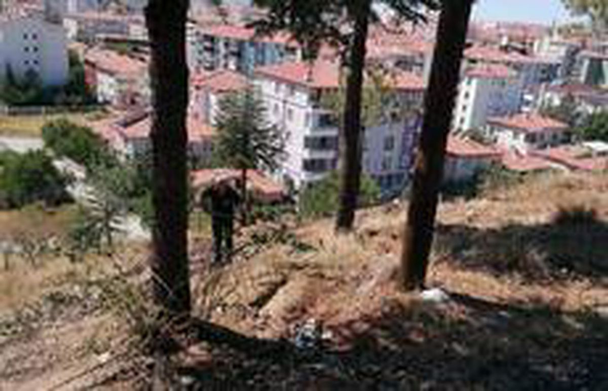Sungurlu\'da yangın