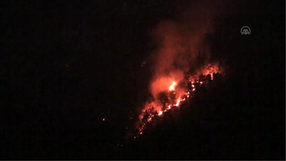 Son dakika haber: Adana\'da orman yangını (4)