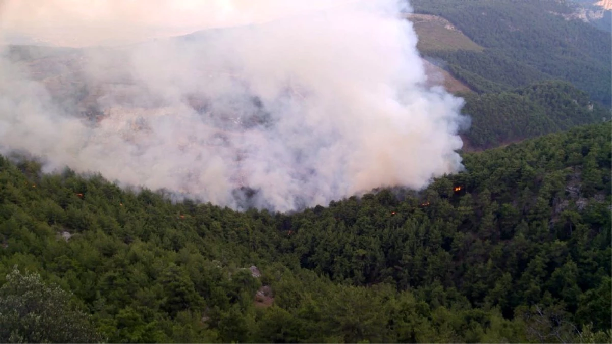 Adana\'da ormanlık alanda yangın