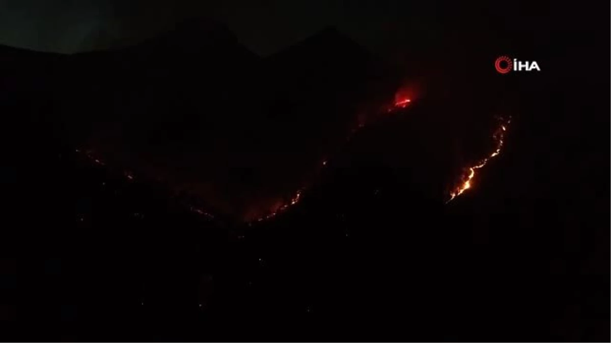 Karaisalı\'daki orman yangını kontrol altına alınamıyor