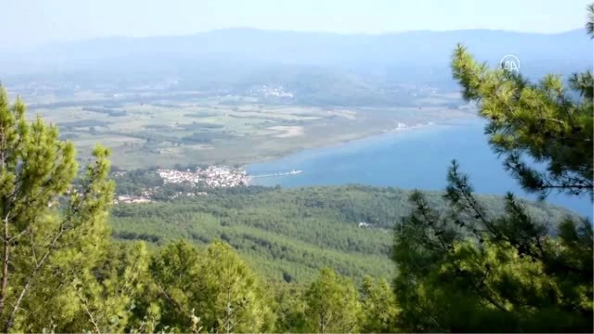 Muğla plajlarında sıcak hava yoğunluğu