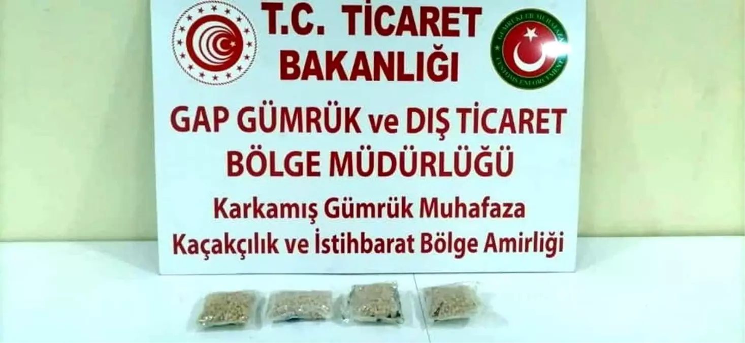 Sınır kapısında 3 bin 700 hap geçirildi