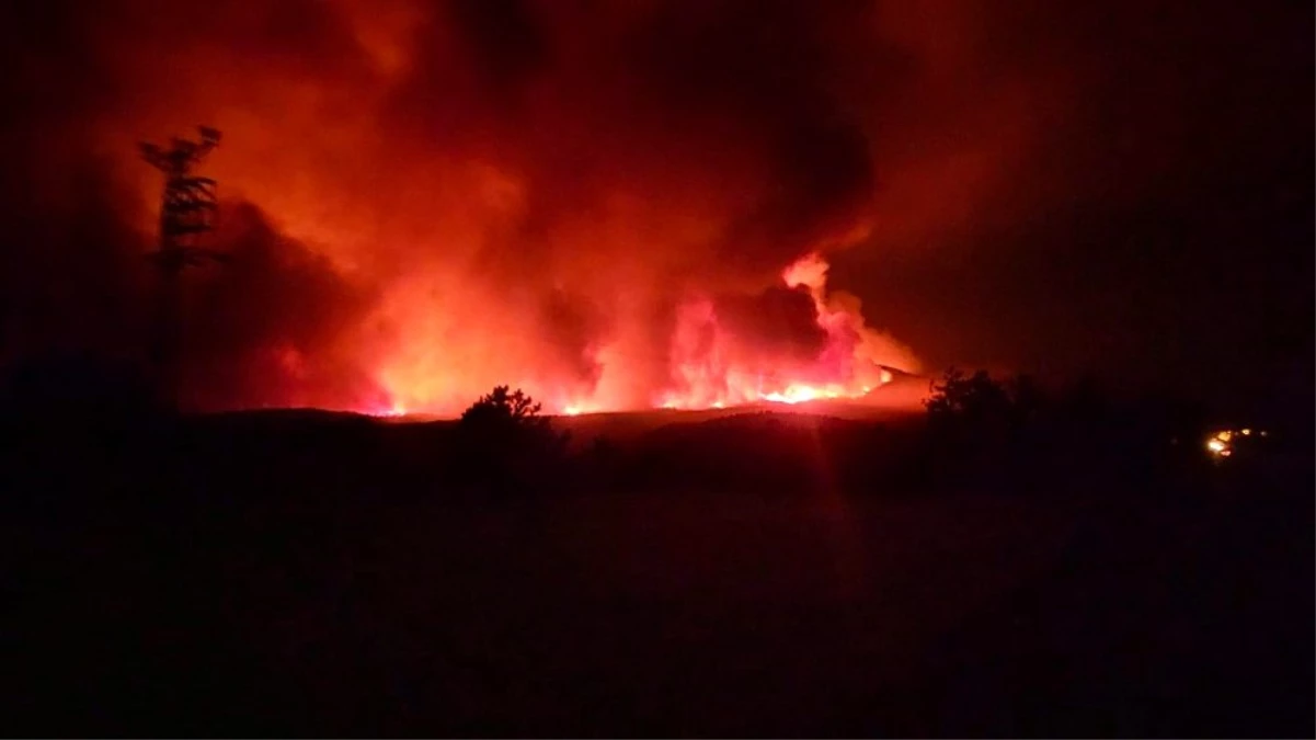 Ankara\'da orman yangını