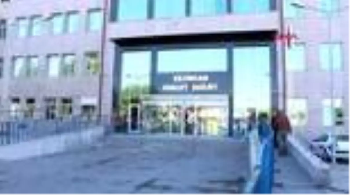 Erzincan\'daki yaban keçileri av olmaktan kurtuldu