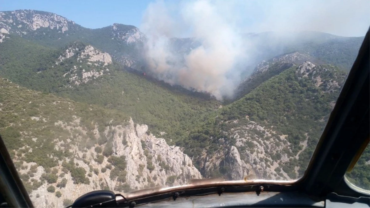 İzmir\'de makilik alanda çıkan yangın kontrol altına alındı