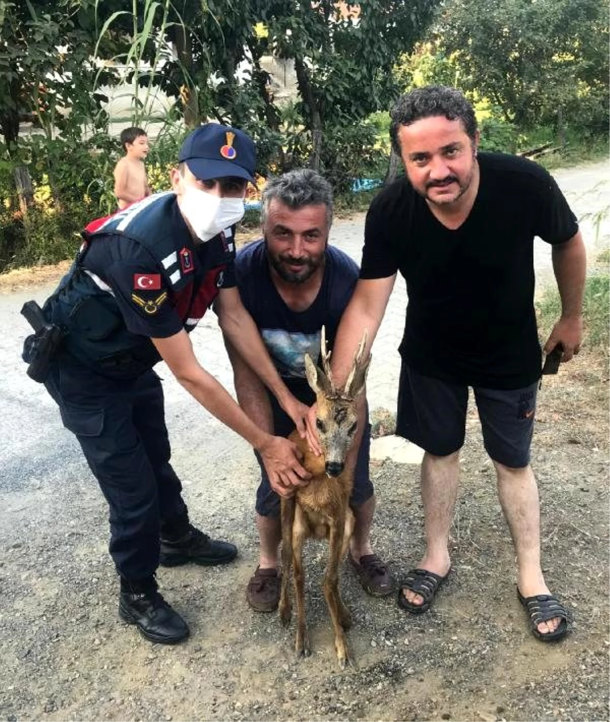 Jandarma ekipleri sıcaktan yorgun düşen yavru geyiği kurtardı