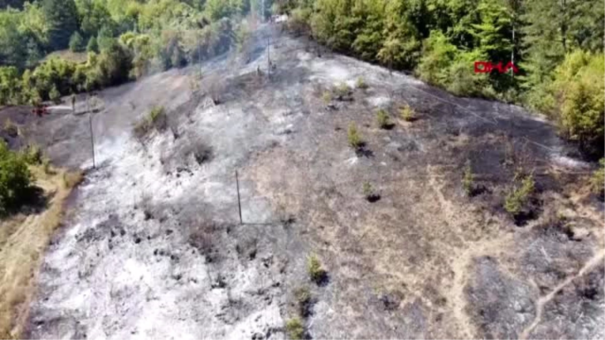 KARABÜK Safranbolu\'da 5 dönüm ormanlık alan yandı