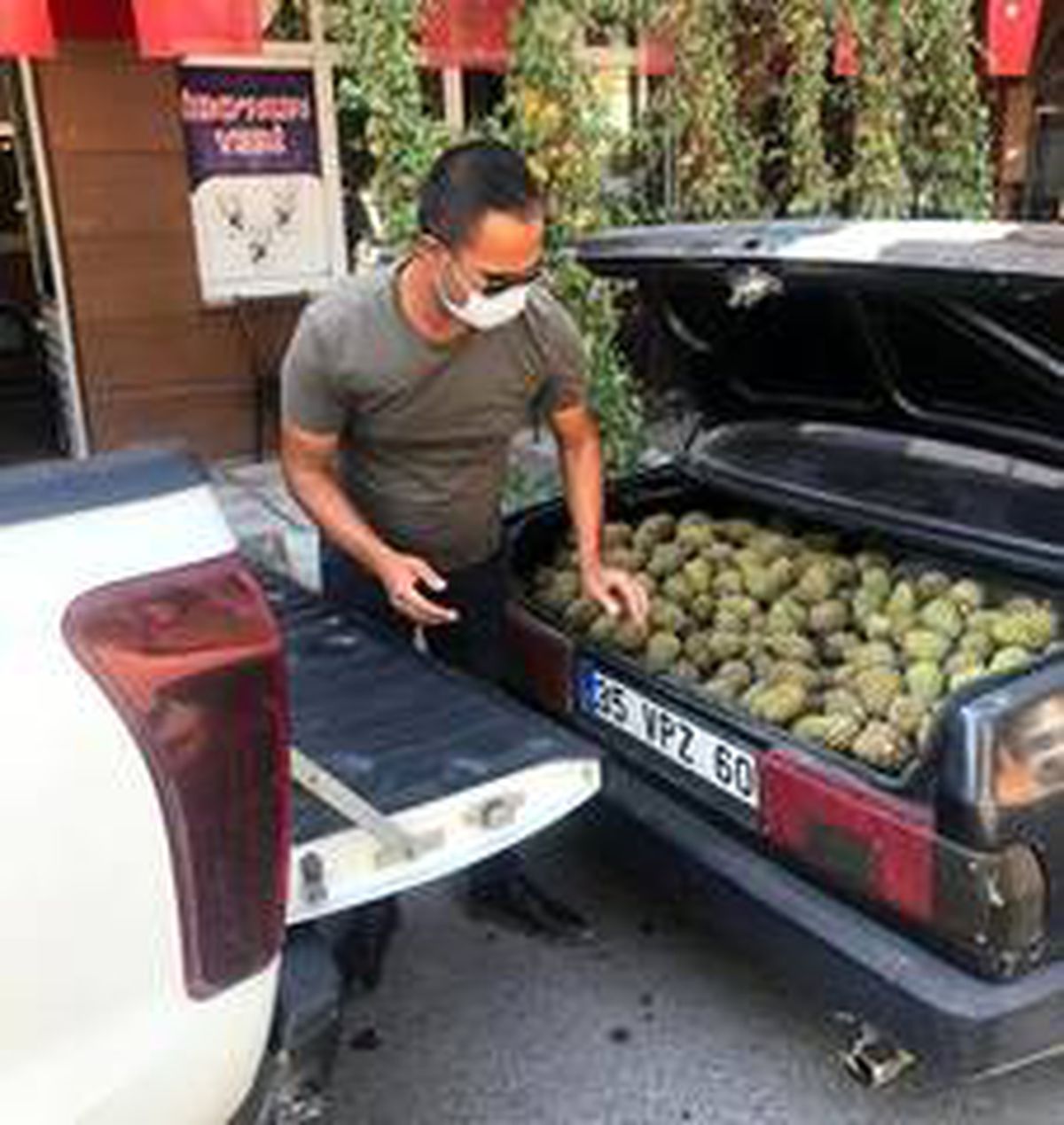 Manisa\'da ağaçlara zarar veren şahıslar yakalandı