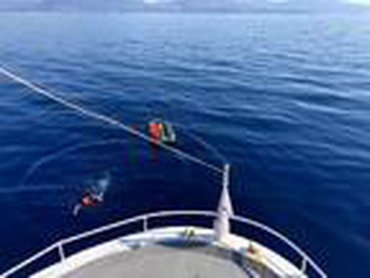 Muğla\'da 2 kaçak göçmen kurtarıldı