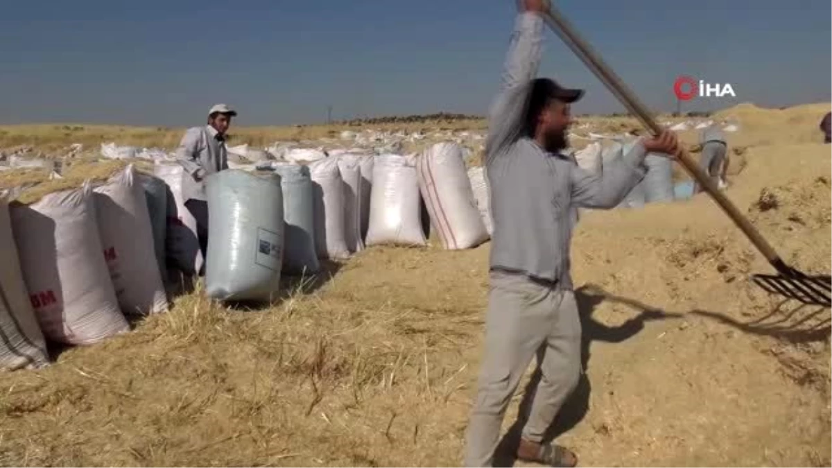 Saman işçiliğinden uçak mühendisliğine