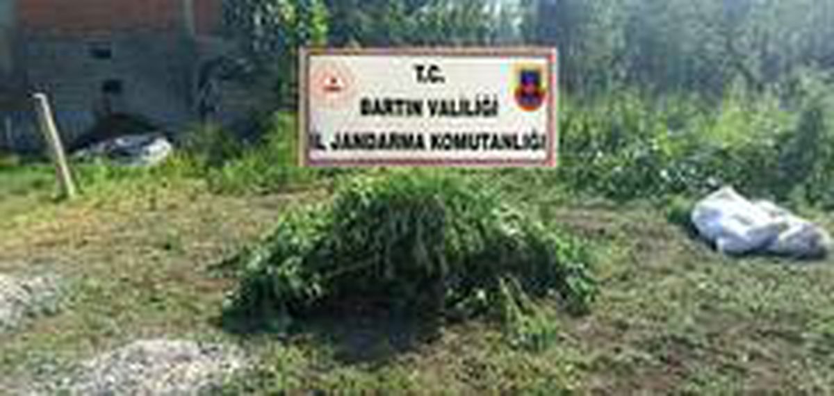 Serada uyuşturucu üretimine baskın