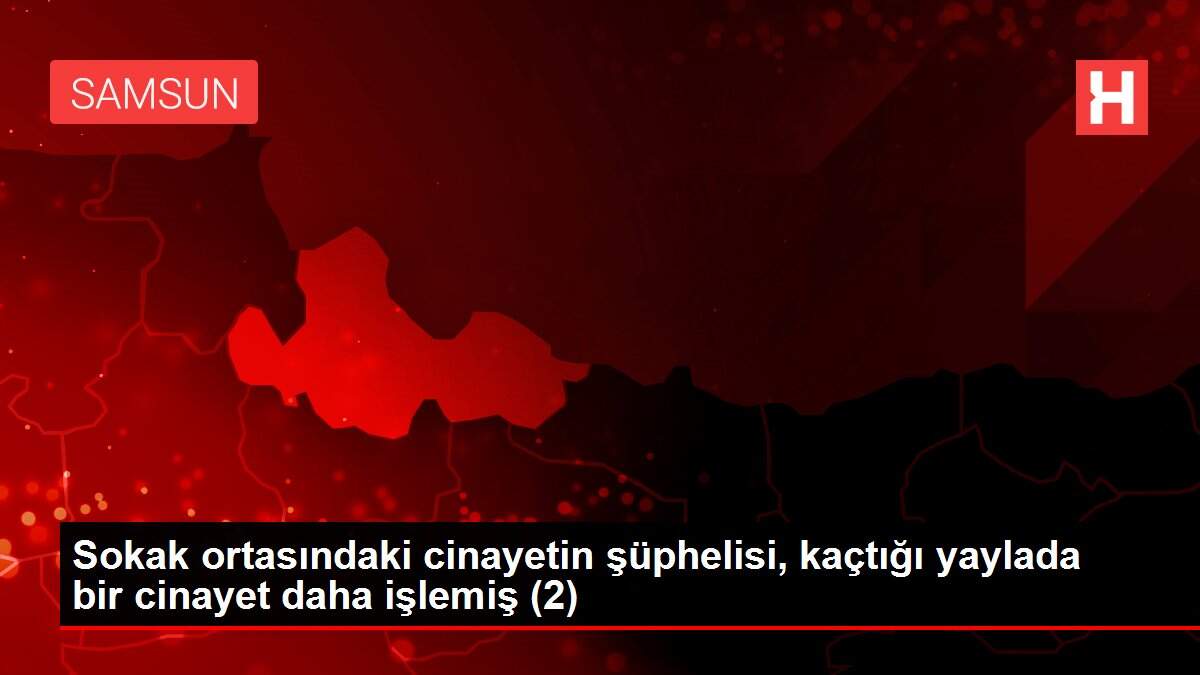 Son dakika haberi... Sokak ortasındaki cinayetin şüphelisi, kaçtığı yaylada bir cinayet daha işlemiş (2)