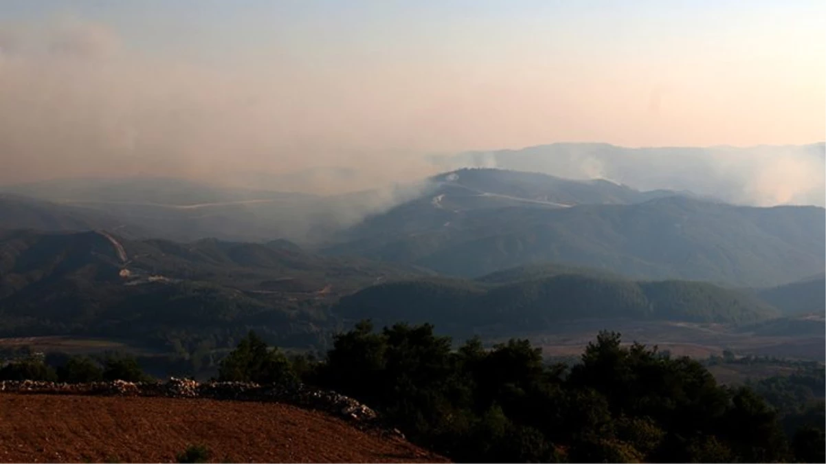 Suriye sınırında çıkan orman yangını Türkiye\'ye sıçradı