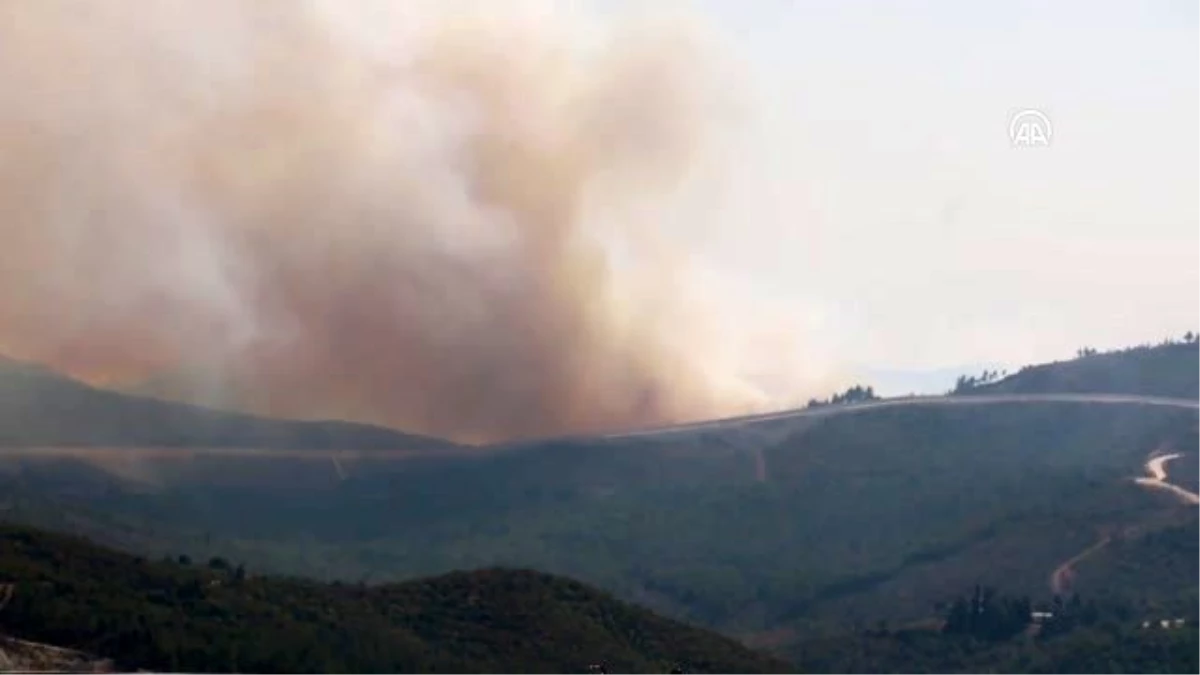 Son dakika haberi | Suriye sınırında orman yangını