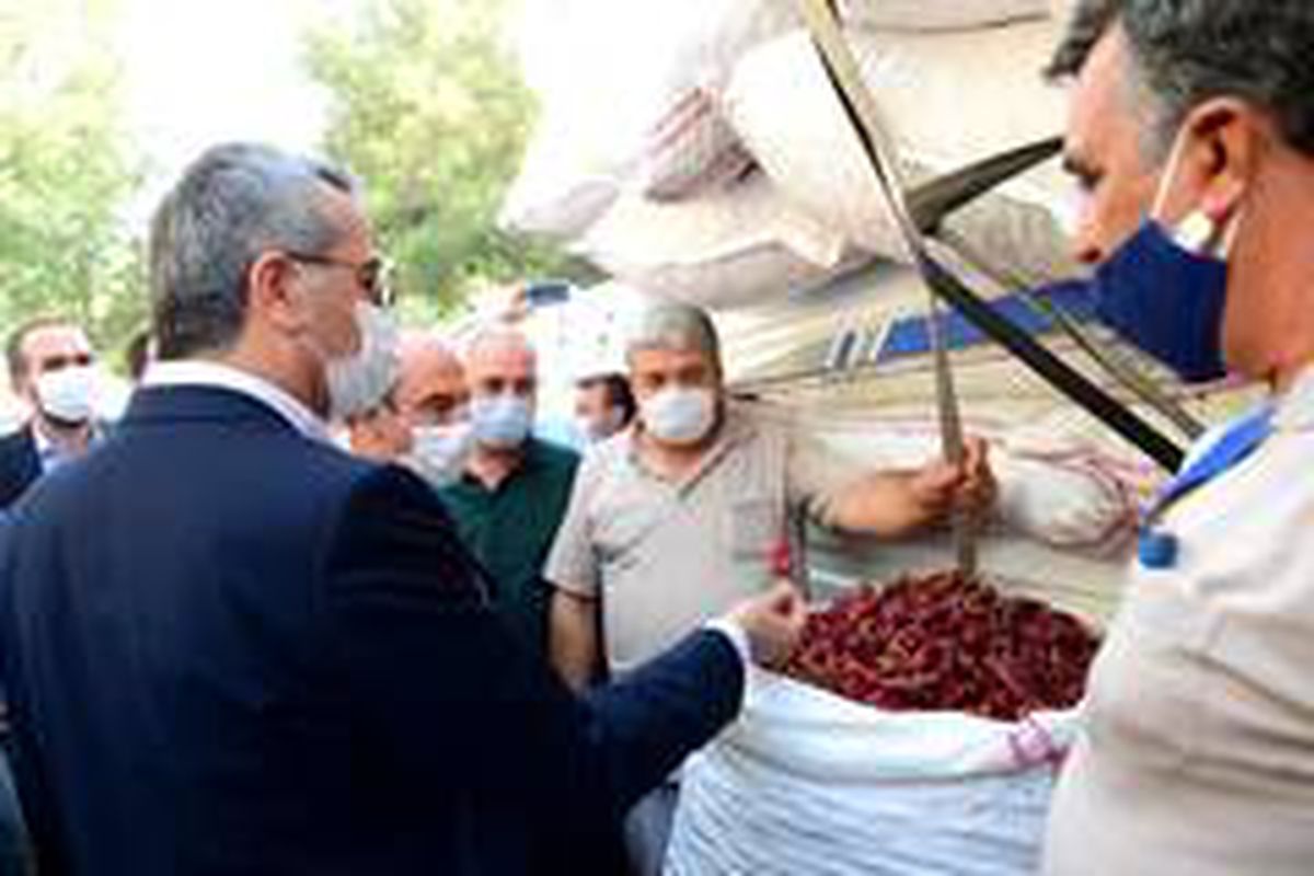 Tescilli "Maraş biberi" pazara indi