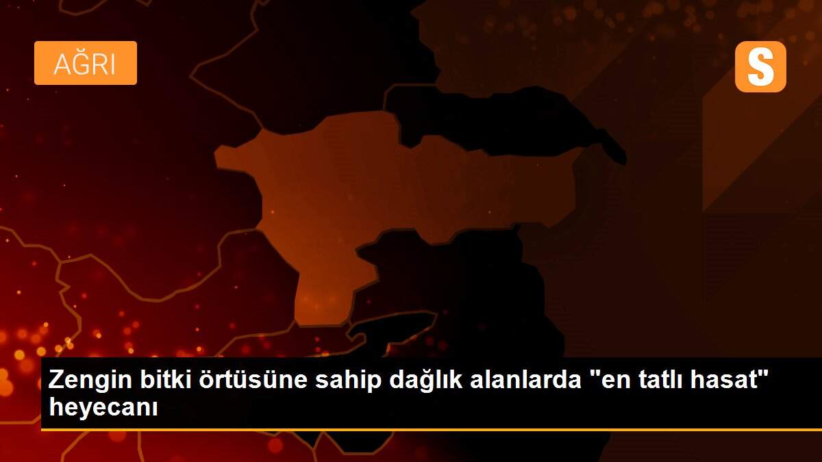 Zengin bitki örtüsüne sahip dağlık alanlarda "en tatlı hasat" heyecanı