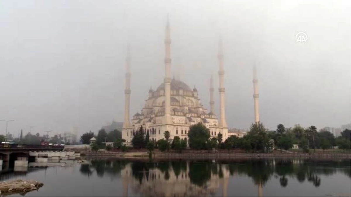 Adana\'da sis trafiği ve hayatı olumsuz etkiledi