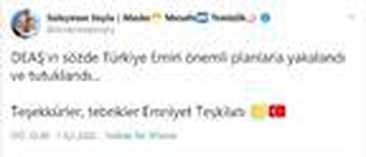 Bakan Soylu: DEAŞ\'ın sözde \'Türkiye emiri\' tutuklandı