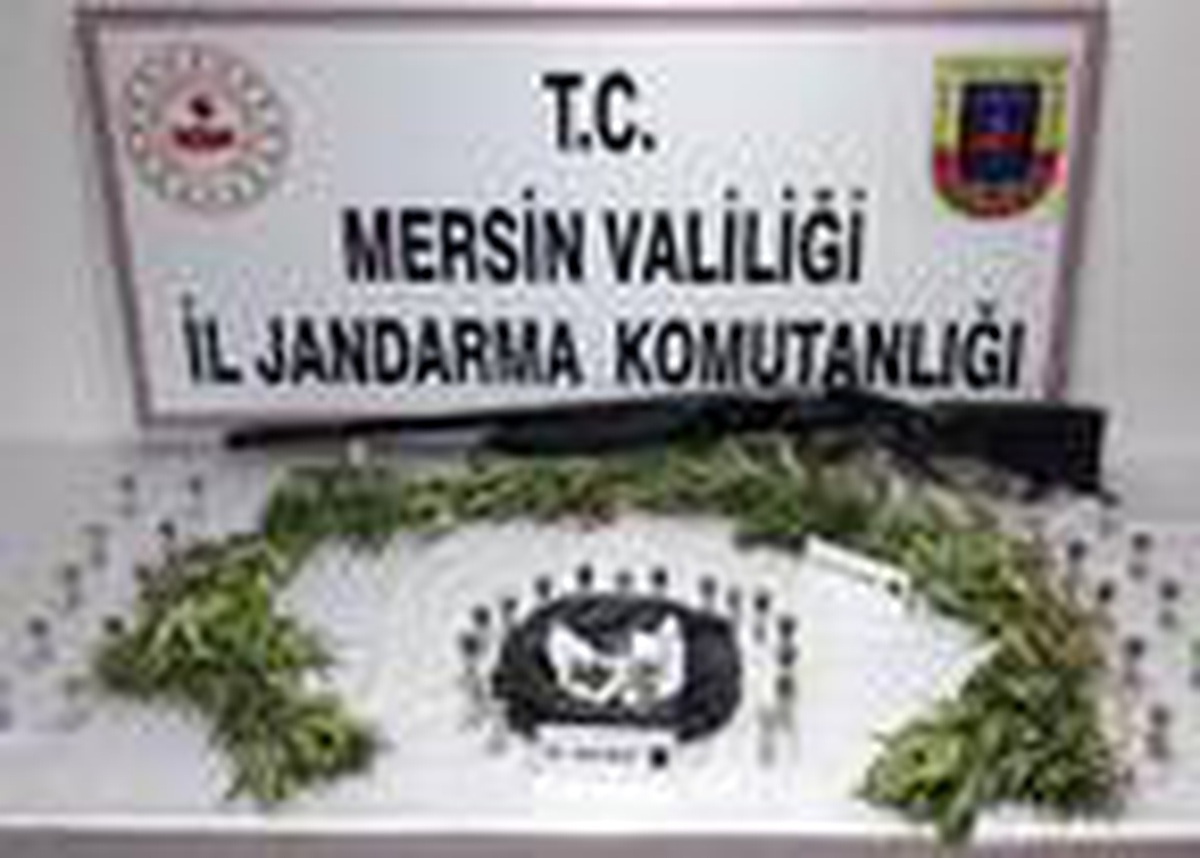 Çatıda uyuşturucu yetiştiren şüpheli tutuklandı
