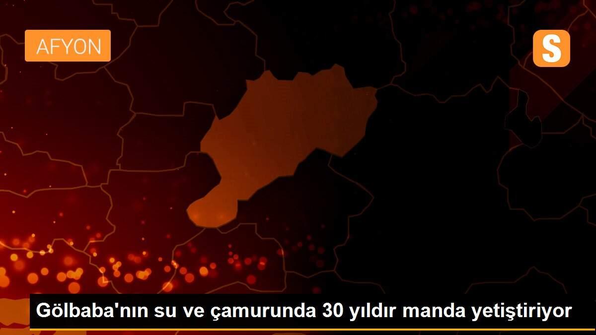 Gölbaba\'nın su ve çamurunda 30 yıldır manda yetiştiriyor