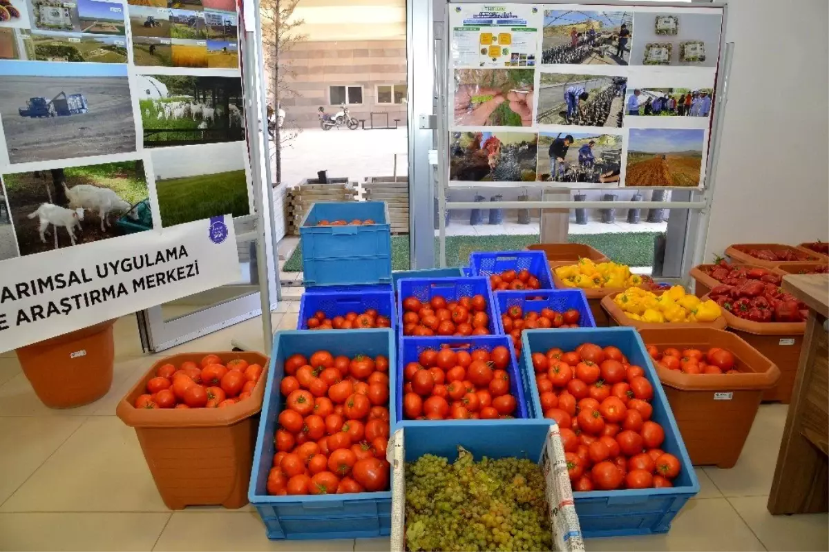 KAEÜ\'si Tarımsal Uygulama Merkezi çalışmalarını sürdürüyor