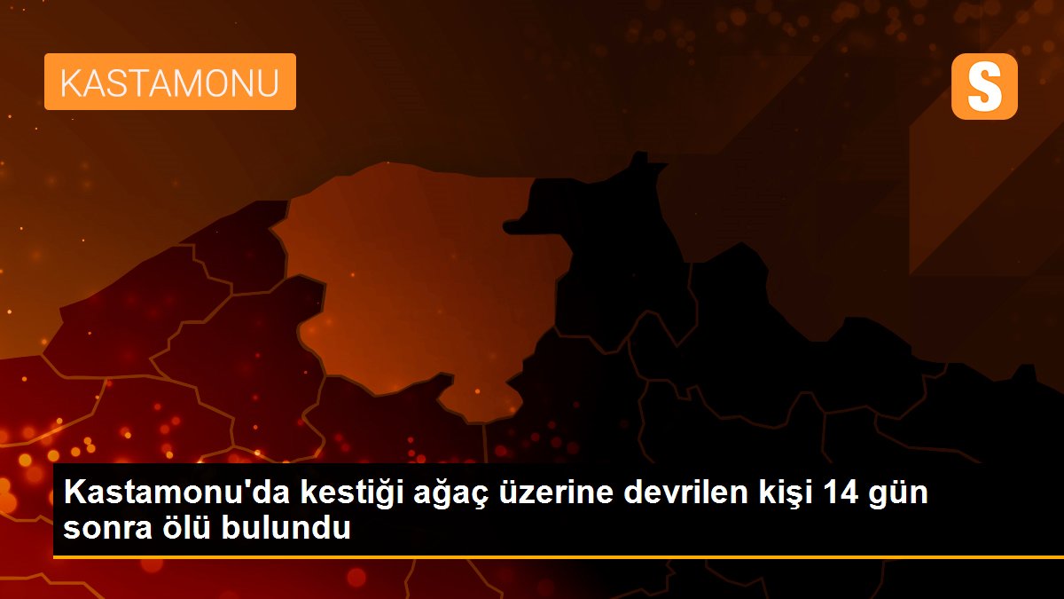 Kastamonu\'da kestiği ağaç üzerine devrilen kişi 14 gün sonra ölü bulundu