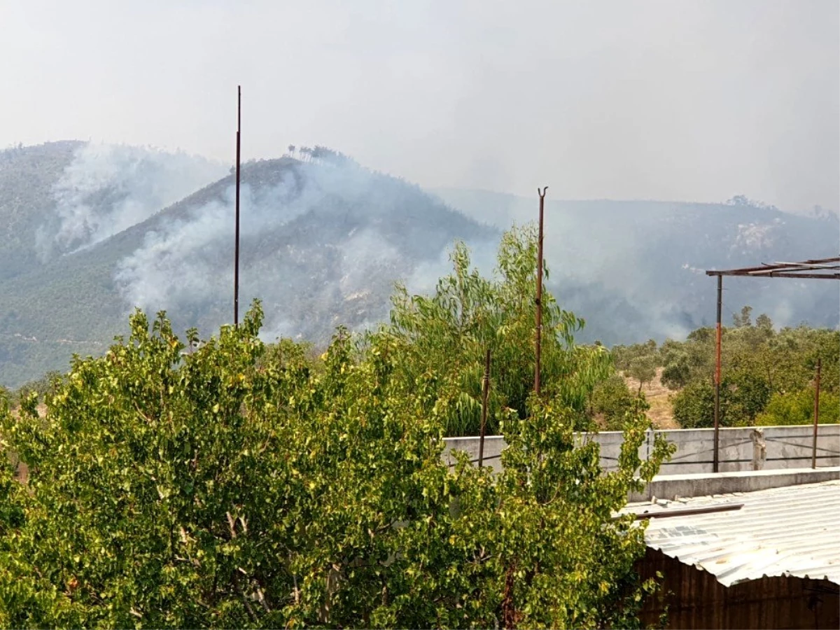 Son dakika haberleri! Suriye sınırındaki orman yangını sürüyor