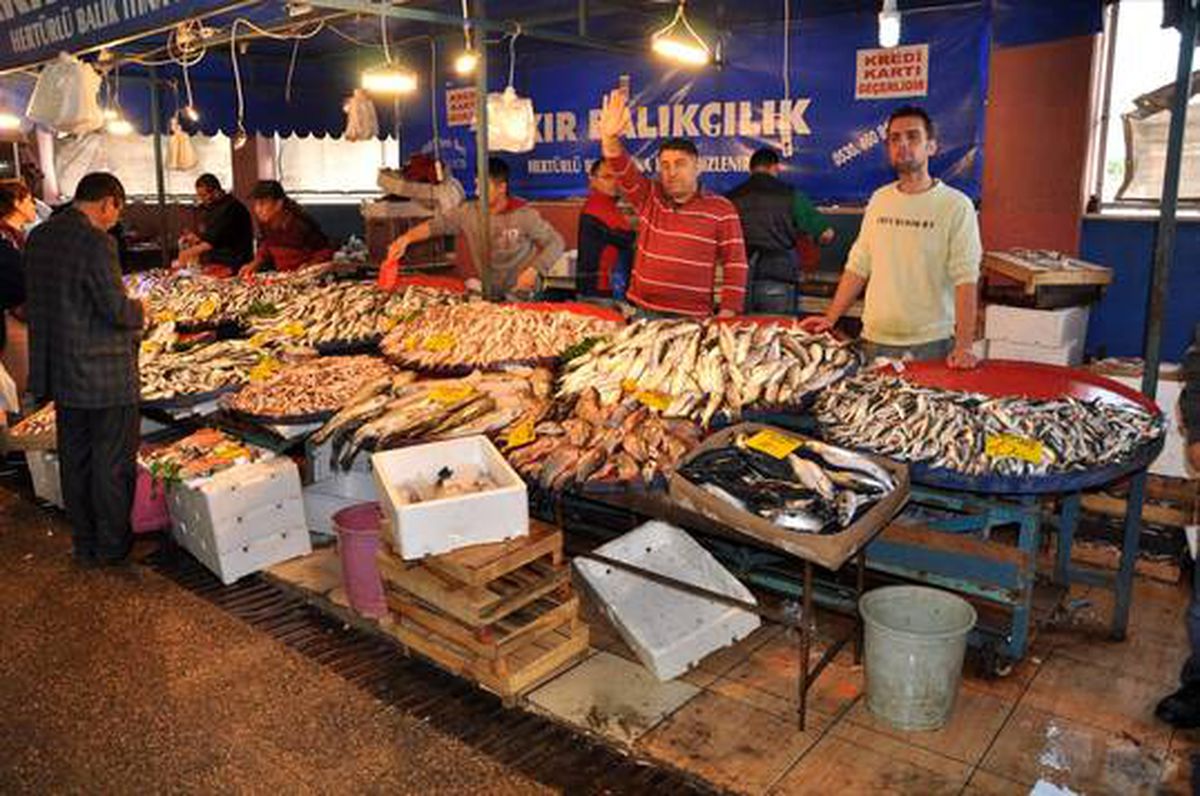 Aliağa denizlerinde balik bollaştı