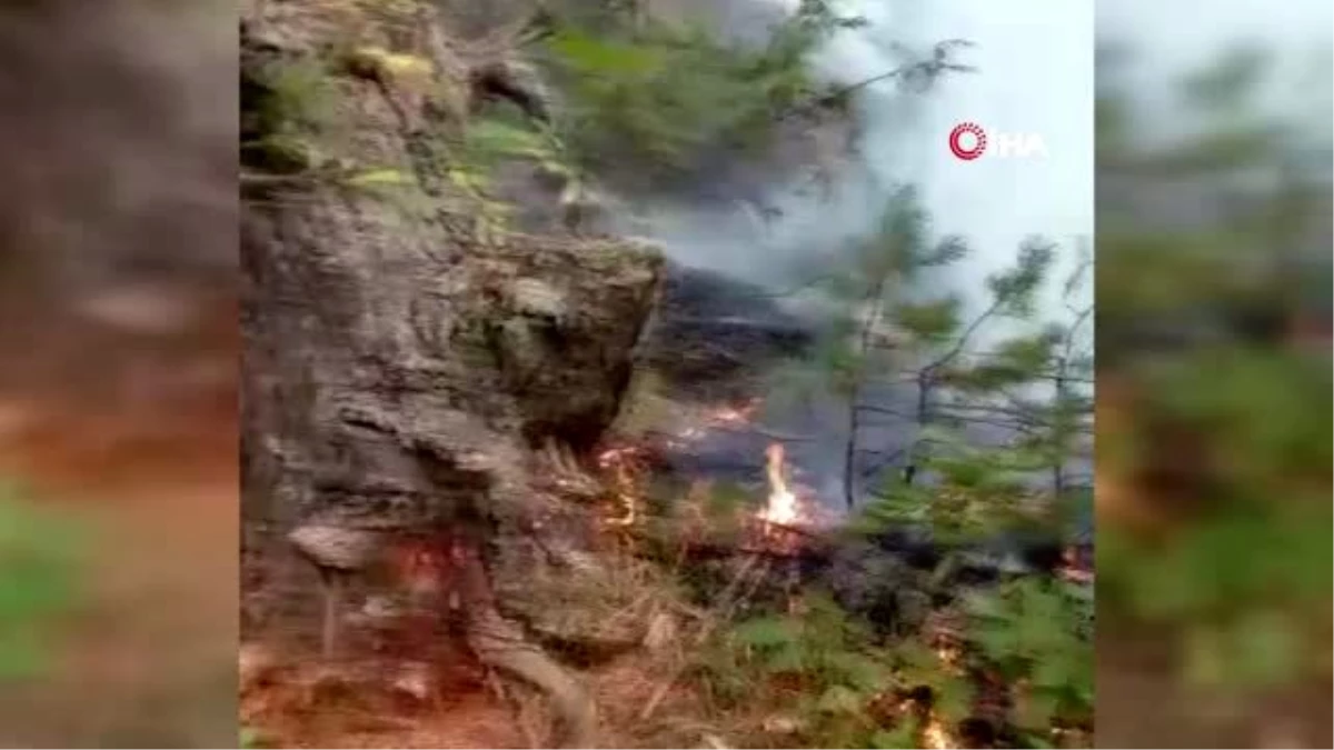 Amasya\'da orman yangını yeniden başladı