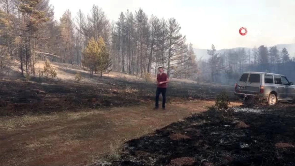 Son dakika haberi! Çankırı\'da orman yangını: Helikopterlerle müdahale edildi