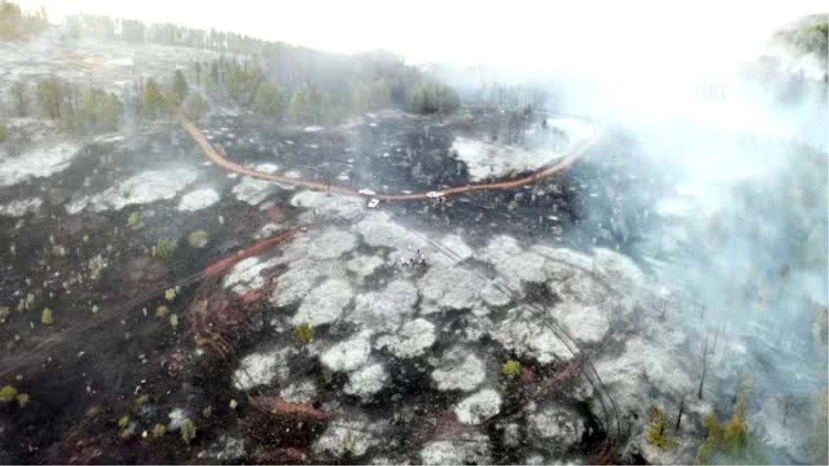 Çankırı\'daki orman yangını kontrol altına alındı