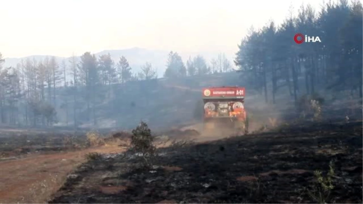Çankırı Valisi Ayaz: "Orman yangını kontrol altına alındı"
