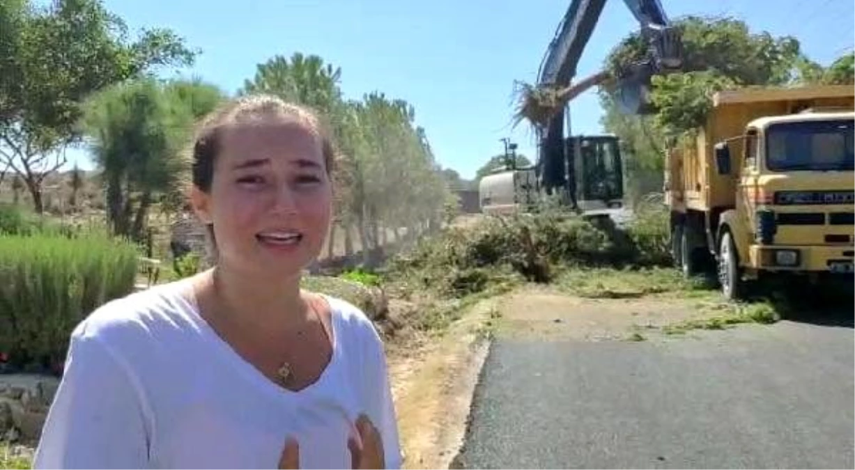CHP\'li belediyenin ağaç katliamını gözyaşlarıyla anlattı