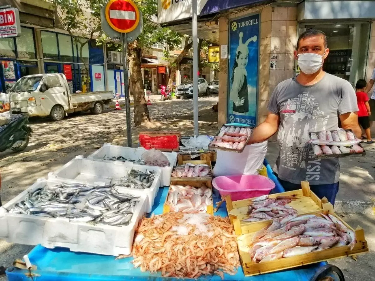 Erdek\'te balıkçı tezgahları canlandı