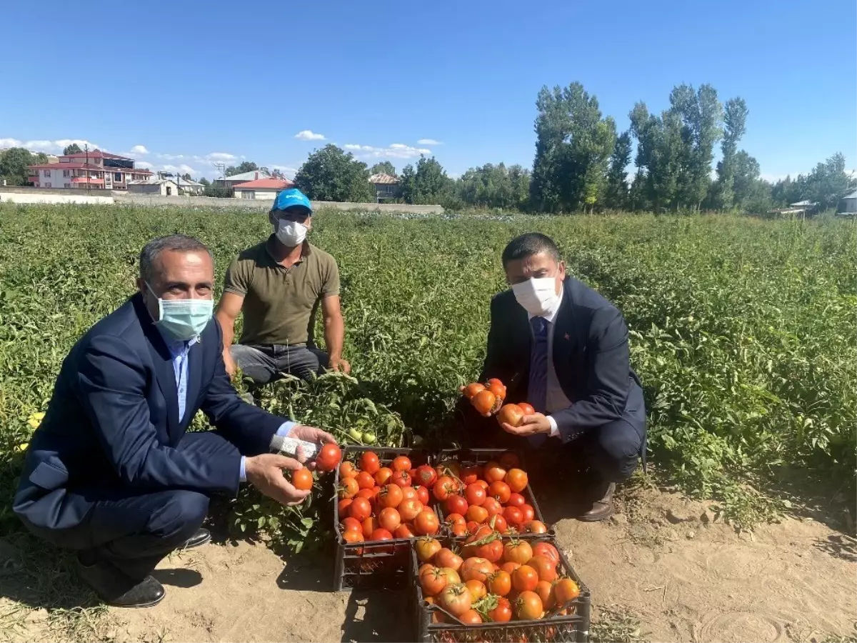 Milletvekili Arvas çiftçileri tarlada ziyaret etti