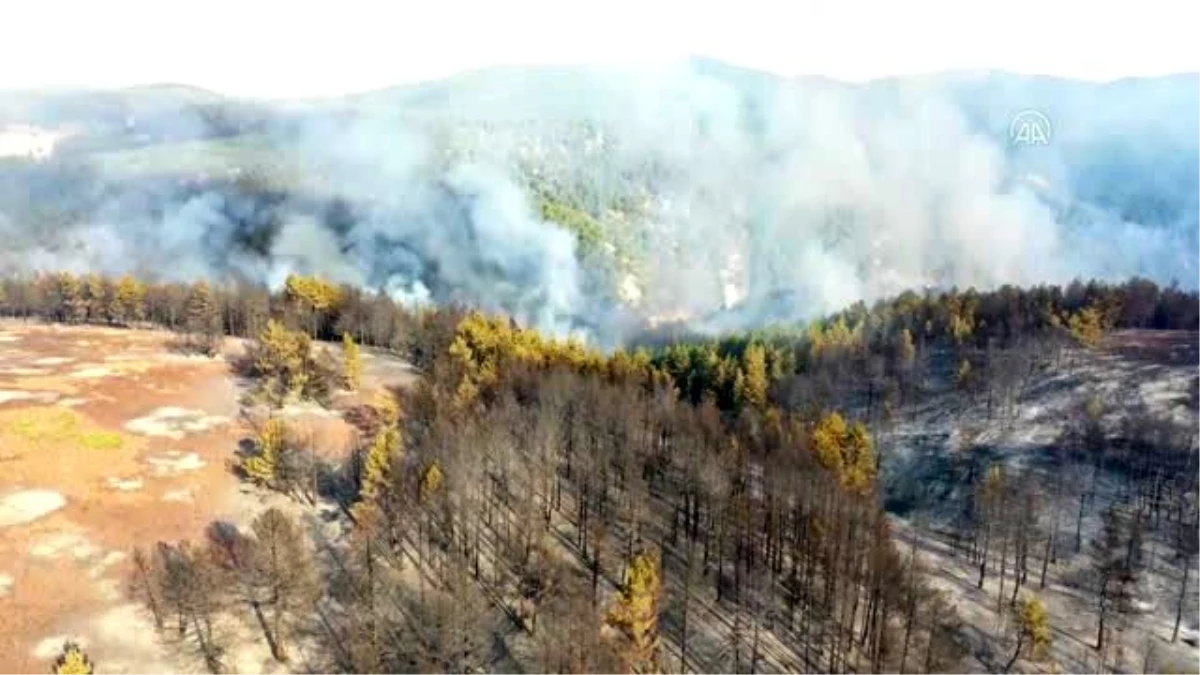 Son dakika haber | Orman yangınına hava destekli müdahale ediliyor